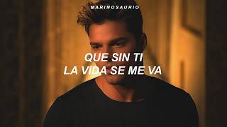 Ricky Martin - Vuelve (Letra)