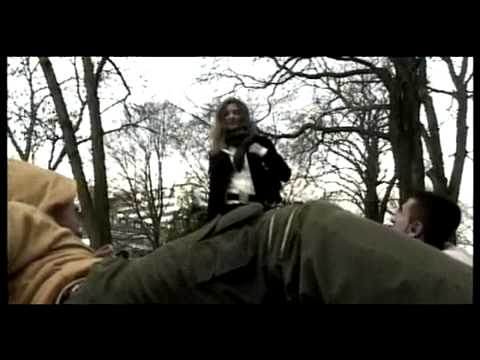 Kurzfilm Testosteron