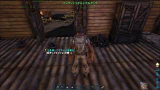 POKEARK TEST live