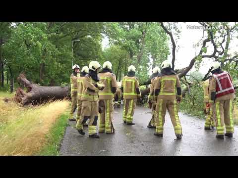 Boom op auto en over de weg in Zuidwolde