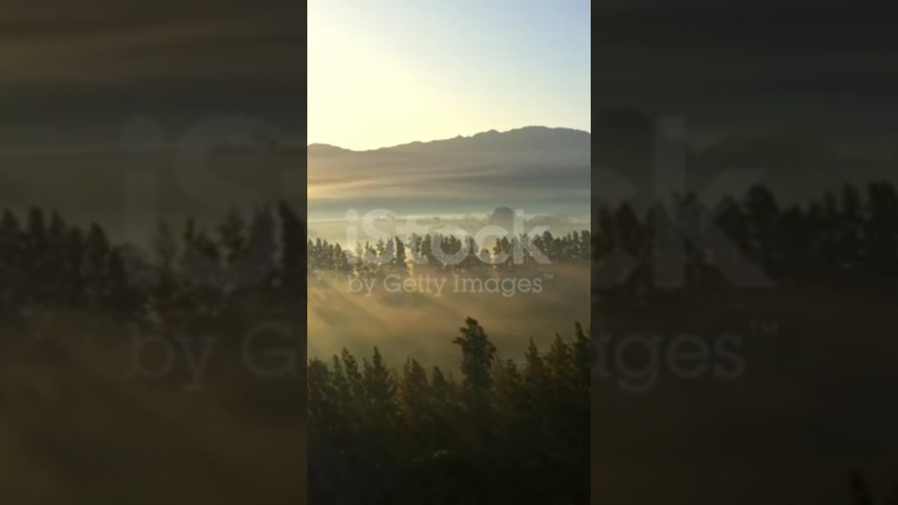 iStock  by Getty images 🌷