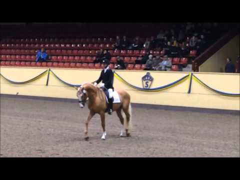 160311 Zafferano & Illusion