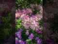 Mella Mella Ennai Thottu Whatsapp Status Ilayaraja