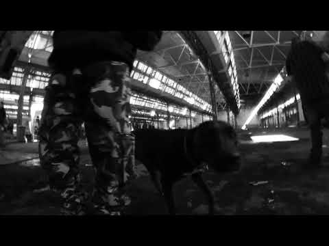 Pasquatek 2018 North Italy