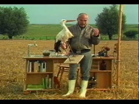 Mittendrin in einer Feuchtwiese - Folge 02 Teil 1