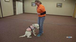 SDWR Training Get Dressed