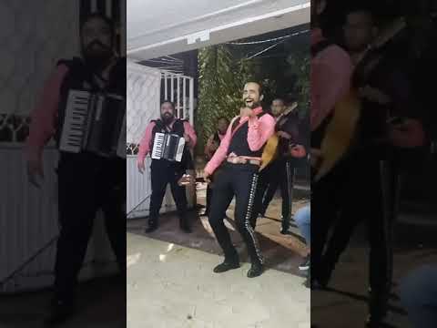 MARIACHIS COTORREO EN VIVO CANCIONES DE TIK TOK MARIACHIDIZIMO DESMADROSO