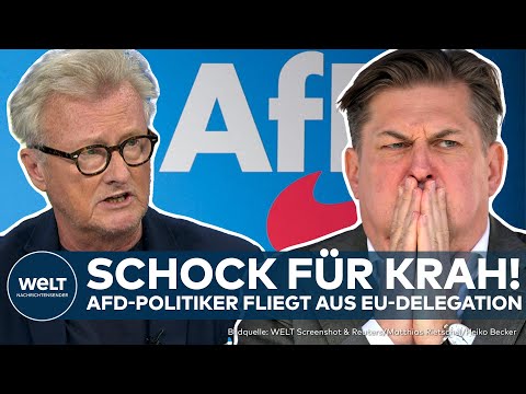 Video Thumbnail: MAXIMILIAN KRAH: Räumt die AfD nun auf? Skandal-Politiker fliegt aus der EU-Delegation!
