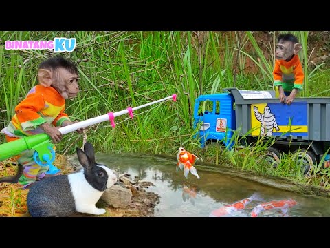 Luby Monyet Lucu Pergi Memancing Bersama Kelinci Mengendarai Mobil