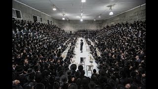הרב מיילך בידרמן כובש את מירון! - Rabbi Elimelech Biderman