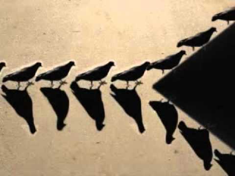 Hermannstadt Collective - Safety Match [Vocal Edition]