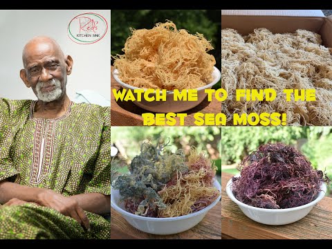 Dr. Sebi Sea Moss Guide | Find the Best Irish Moss / Sea Moss on the Internet | for Sea Moss Gel