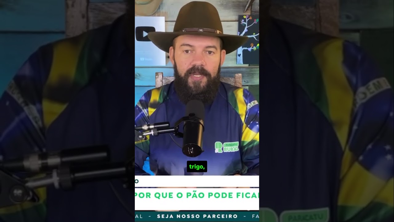 Trigo em Alta: Por que o pão   pode ficar mais caro com a crise em Chicago?