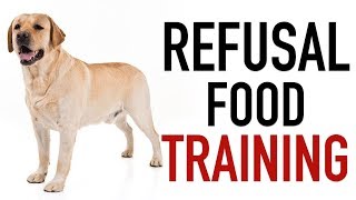 Forbidding a dog from taking food from strangers or ground I Refusal food training