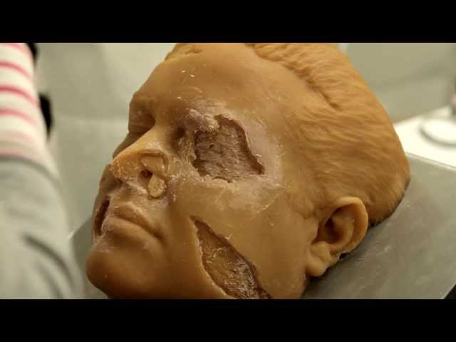 INSEGUIRE IL VENTO (Chasing the wind) - trailer