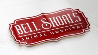 preview picture of video 'Animal Hospital Brandon: Bell Shoals Animal Hospital | 813.654.6600'
