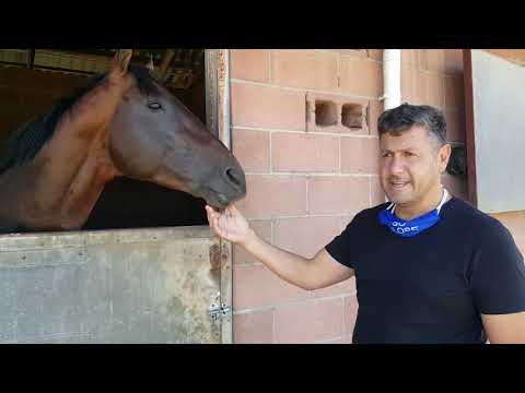 CIRILLO WELL PREPARED FOR CAPE TOWN MET