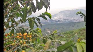 PRODUCTO GARANTIZADO