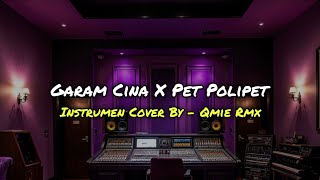 Download lagu GARAM CINA X PET POLIPET - [ INSTRUMEN COVER ] mp3