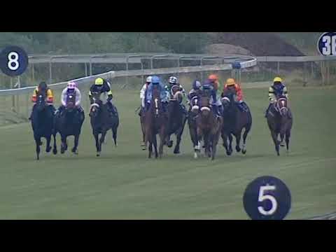 PLEASEDTOMEETYOU - 2021 EAST CAPE SPRINT CUP (Listed)