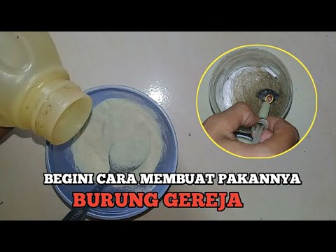download lagu mp3 mp4 Makanan Anak Burung Gereja, download lagu Makanan Anak Burung Gereja gratis, unduh video klip Makanan Anak Burung Gereja