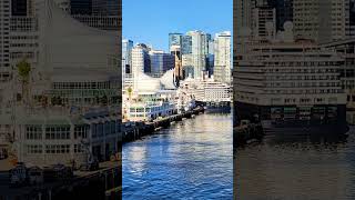 Princess Cruise Ship in Vancouver #shorts #cruise #vancouver