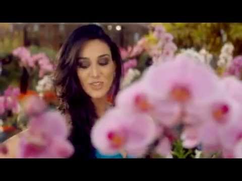 CLIPE ESTOY ENAMORADO- CAPIM CUBANO E MARINA ELALI.mp4