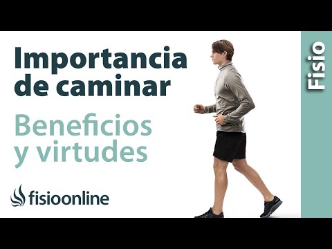 Andar o caminar. Virtudes y beneficios