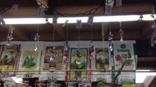 Increase your good luck with these garden ornaments