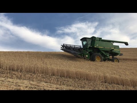 Welcome to Harvest 2020!