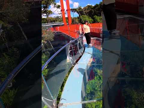 SkyGlass terror en las alturas