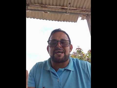 #São Benedito do Rio Preto Maranhão 🇧🇷