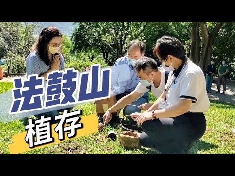 法鼓山樹葬費用