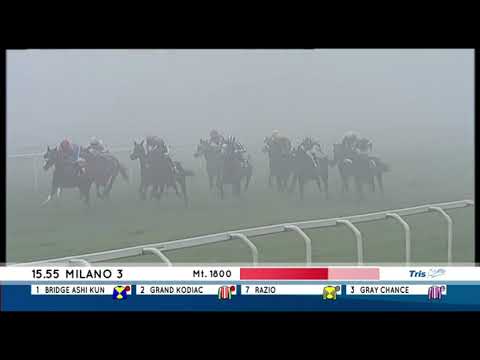 2024.11.16 Premio Guido e Alessandro Berardelli (ITA) - Hanting