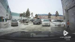 animale cainele fuge cu banca