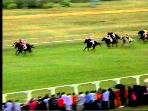 Borrowdale Park Race Course- Race 8 Run On 21 May 2011