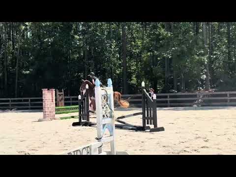 Focus Tachor Z video 7