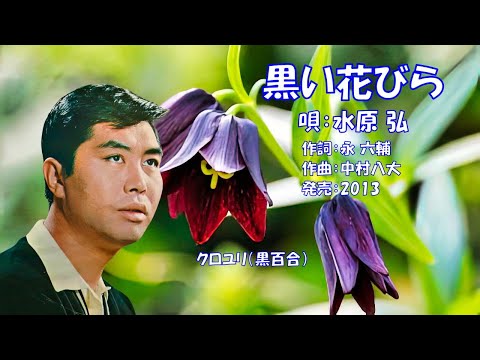 黒い花びら 水原弘