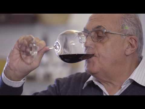 Pão de Açúcar Viva Vinhos - Plano Suprema | Julho 2016