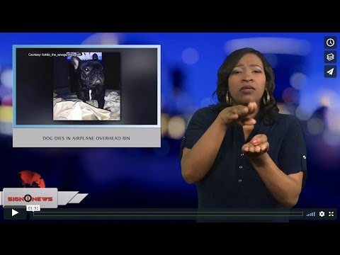 Dog dies in airplane overhead bin (ASL - 3.14.18)