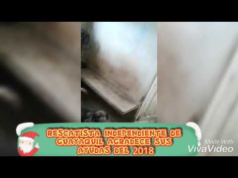 Pasan video