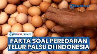 Cek Fakta soal Telur Palsu Beredar Palsu di Indonesia hingga Masyarakat Khawatir, Ini Kata Ahli