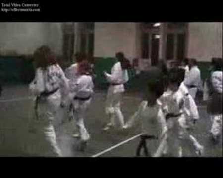 Le pantere della polizia