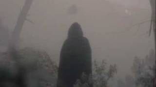 Dulce Pontes Povo Que Lavas no Rio