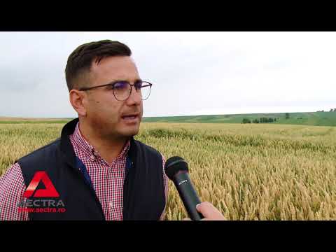 Terra-Sorb Complex + Blackjak - Cristian Andrici - ACCPT Botosani ( feedback TSCx si Blackjak)