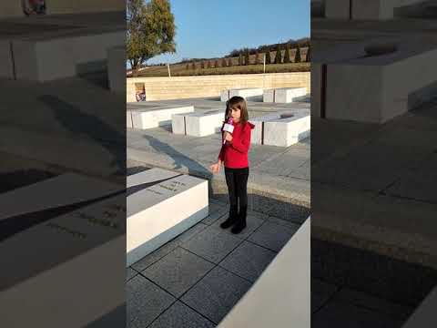 Eldiona poezi per 28 Nëntorin