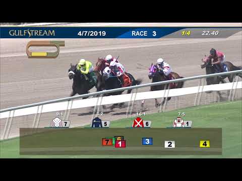Gulfstream Park April 7, 2019 Race 3