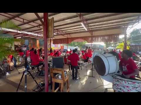 Siparia Deltones Steel Orchestra - What You Won’t Do For Love 