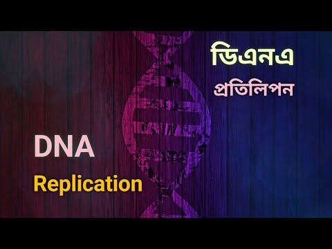 Replication Fork Biologyâ: Detailed Login Instructions| LoginNote