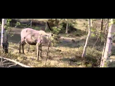 Volvo V40 Cross Country | Commercial "Finding Joe"